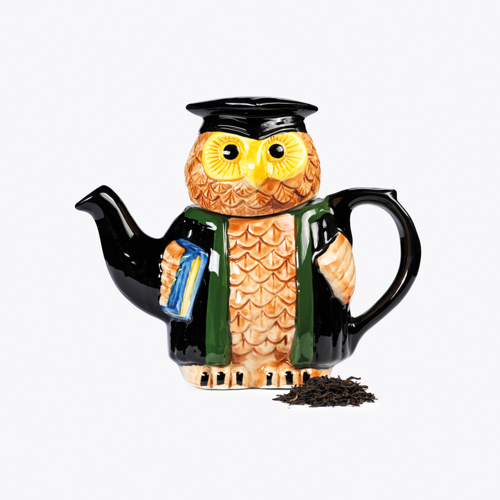 Novelty Owl Teapot buy for £45.00 by Carters of Suffolk